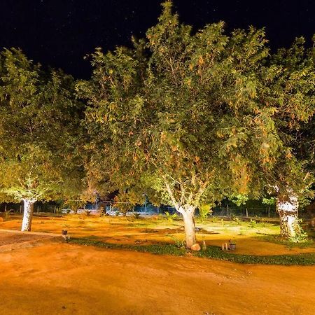 Forestville ヤーラ エクステリア 写真