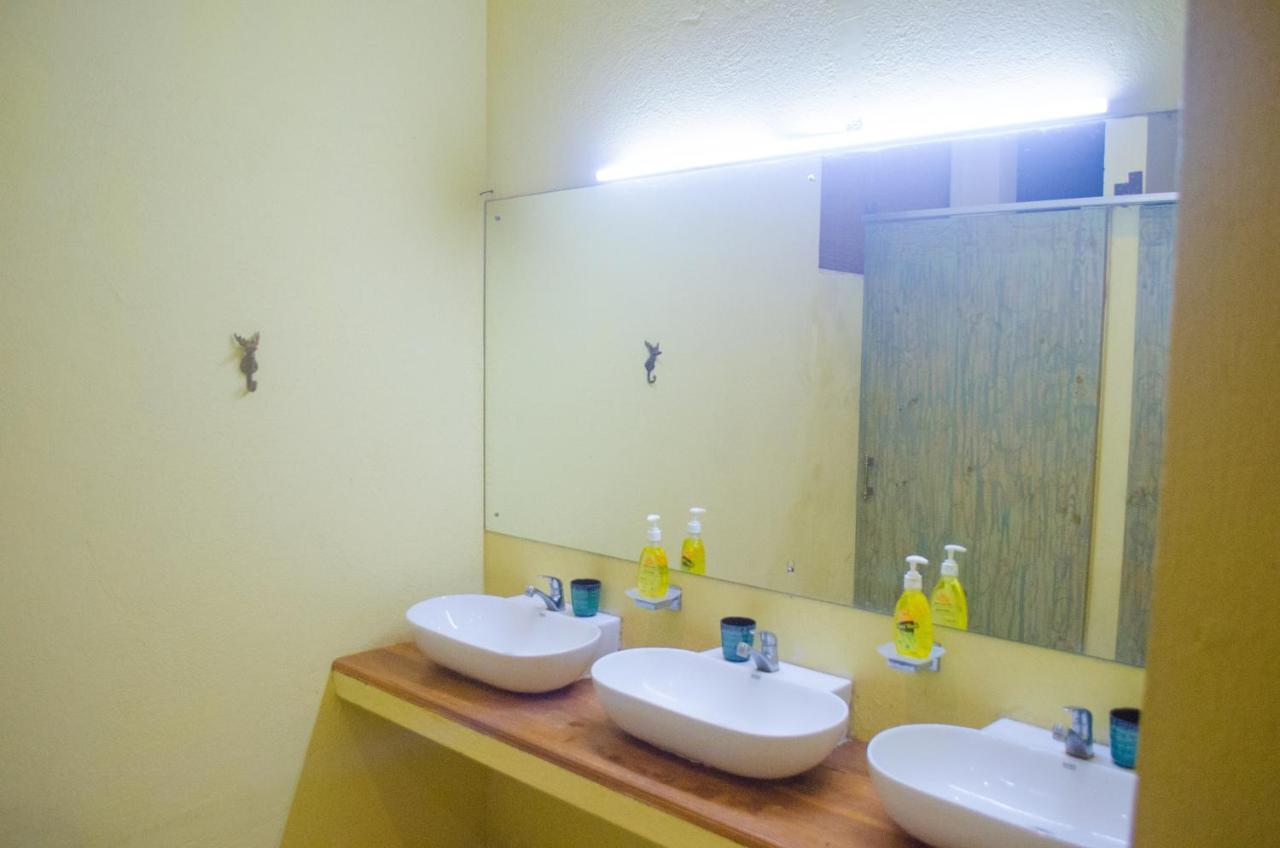 Forestville ヤーラ エクステリア 写真