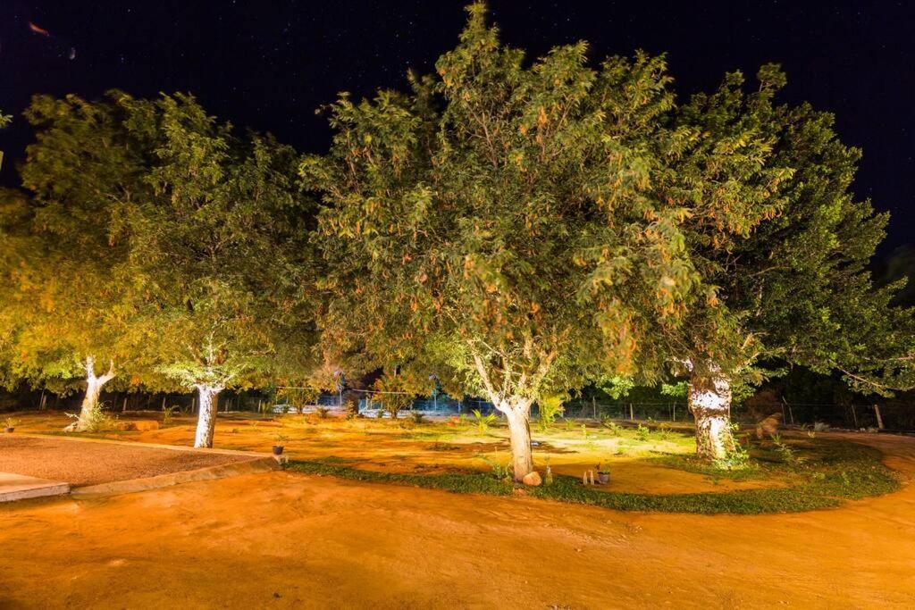 Forestville ヤーラ エクステリア 写真
